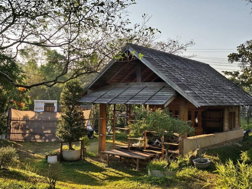 ขายที่ดินพร้อมสิ่งปลูกสร้าง ต.แม่แรม อ.แม่ริม เชียงใหม่ 6