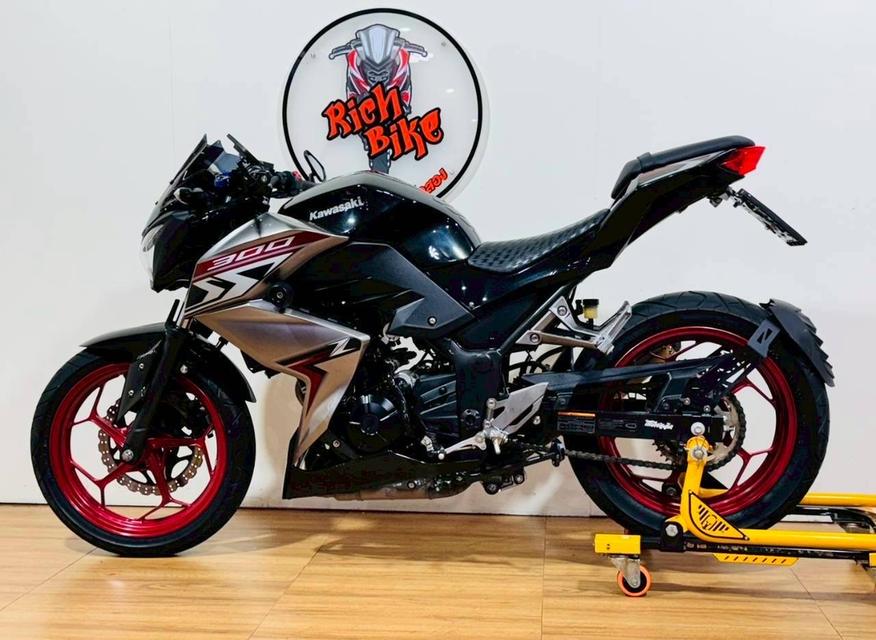 Z300