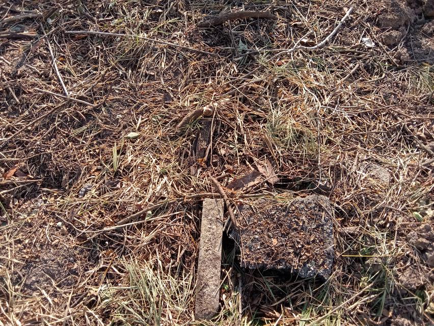 ที่ดิน 100 ตรว. บ่อเงินซอย 8 ต.บ่อเงิน อ.ลาดหลุมแก้ว จ.ปทุมธานี 11