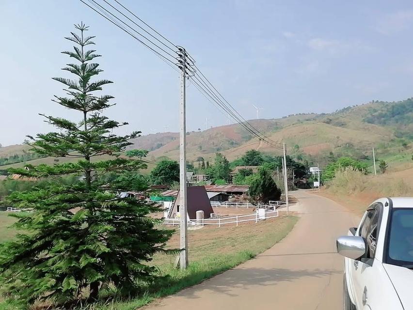 ทีดินเพชรบูรณ์ อำเภอเขาค้อ ตำบล ทุ่งสมอ 7