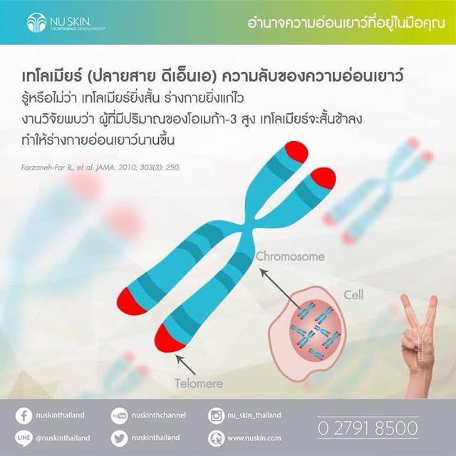 Y-Span กระตุ้นให้ร่างกายกลับมาซ่อมแซมยีนด้วยตัวเอง 4