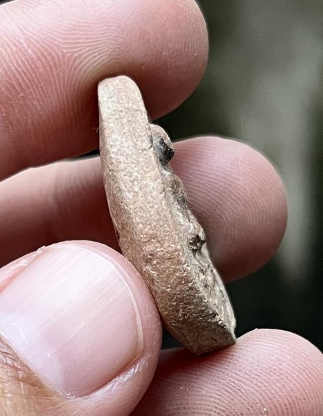 พระกลีบบัวหลวงปู่บุญ 3