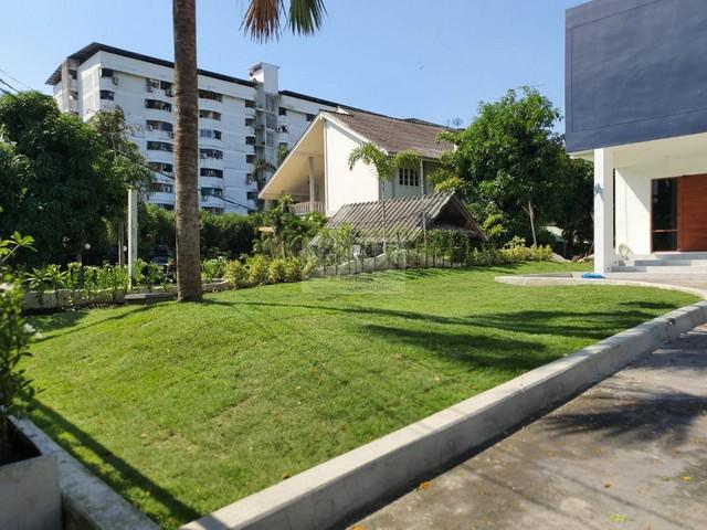 ให้เช่า Pool Villa 3 ชั้น Modern Luxury 250 ตรว. สุขุมวิท 62 มี Roof Top และสระว่ายน้ำกลางบ้าน ใกล้ทางด่วน 2 สาย, ใกล้ B 3