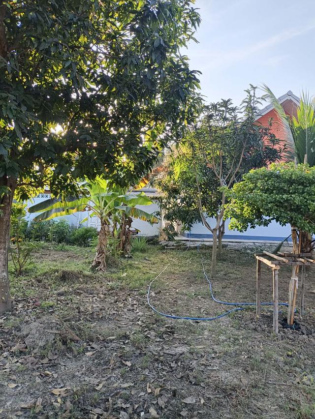 ที่ดินและบ้านพร้อมอยู่ 11