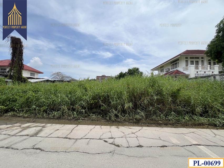 ขายที่ดิน ถมแล้ว5ปี 202 ตร.ว รามคำแหง 2 3