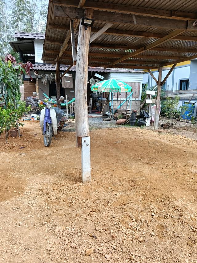 ที่พักหากใหญ่ ควนลัง 4