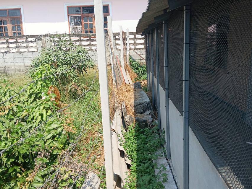 ขายบ้านพร้อมที่ดิน 100ตารางวา 14