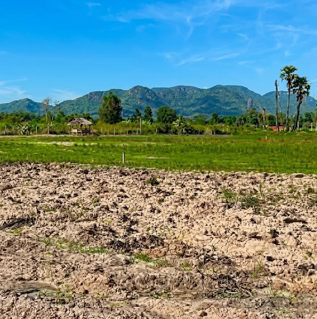 ครุฑแดง ที่ดินเปล่า100ตรว.เขากระปุก ใกล้ชั่งหัวมัน 1