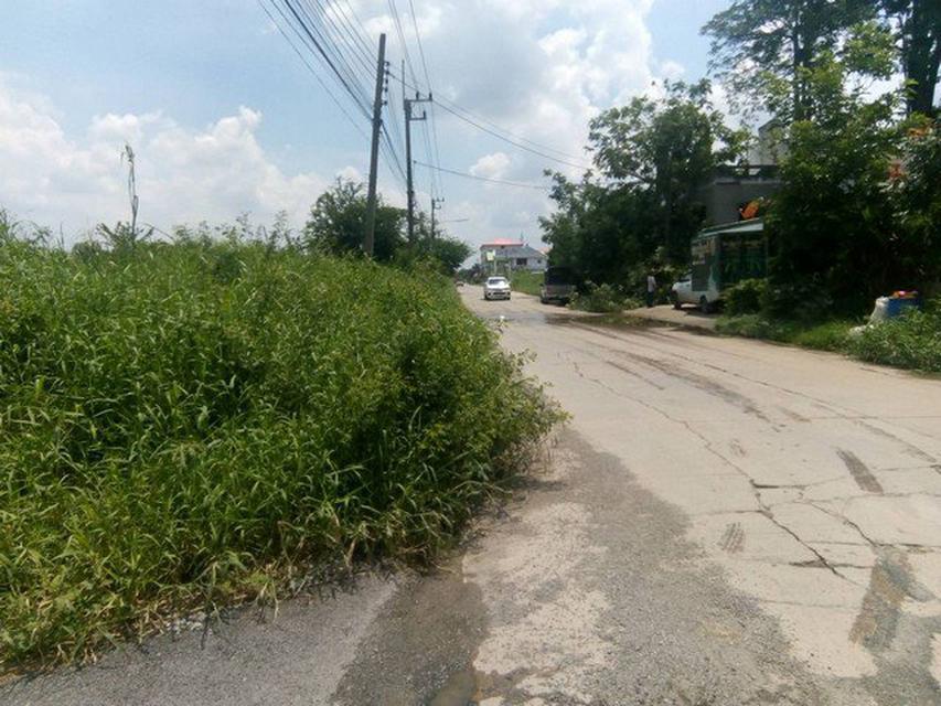 ที่ดิน ตลาดไท ถนนเทพกุญชร10