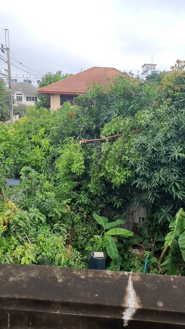 ที่ดินพร้อมสิ่งปลูกสร้าง 7