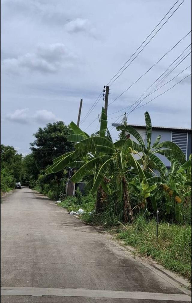 ขายที่ถมแล้ว  93.6  ตรว. ใกล้สถานีรถไฟฟ้าสายสีชมพู เมืองทองธานี ต.บ้านใหม่  อ.ปากเกร็ด(ตลาดขวัญ)  จ.นนทบุรี 3