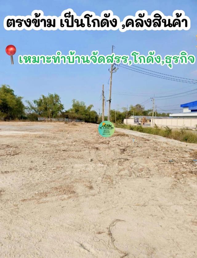 ขายที่ดิน 19 ไร่ ต.หนองหงษ์-พานทอง-ชลบุรี 2