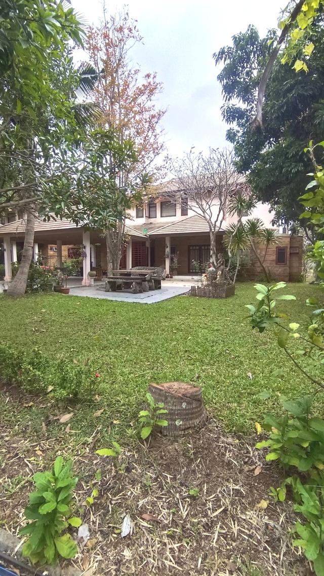 Vายบ้านภูฟ้าสวยพร้อมอยู่ดิดถนนธนะรัชต์เขาใหญ่ อำเภอปากช่องจังหวัด 1