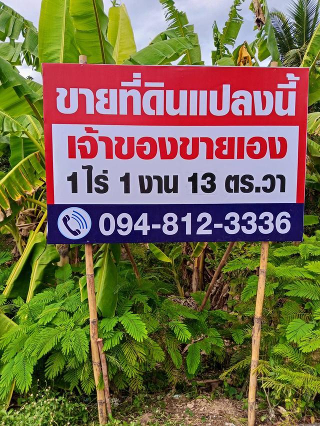 ขายที่ดินสวนส้มโอ ต.บ้านปราโมทย์ อ.บางคนที จ.สมุทรสงคราม (ที่ดินมีโฉนด) ด้านหน้าติดถนนลาดยาง ที่ดินหน้ากว้าง 20เมตร ด้านหลังติดคลองใกล้ รพสต และเซเว่น 2