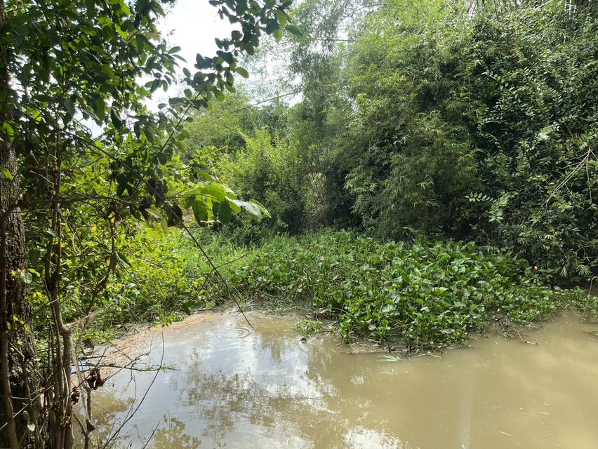 ขายที่ดิน 1 ไร่ ถมแล้ว ล้อมรั้วสีเขียว ติดถนนหลวง มีโฉนด อ.เมืองนครนายก 10