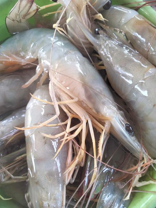 กุ้งแช่บ๊วยสดๆ 3