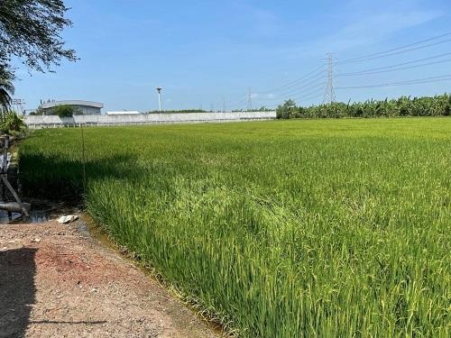 ขายที่ดินสวย 6 ไร่ 63 ตารางวา (พื้นที่สีม่วง) เจ้าของขายเอง 3