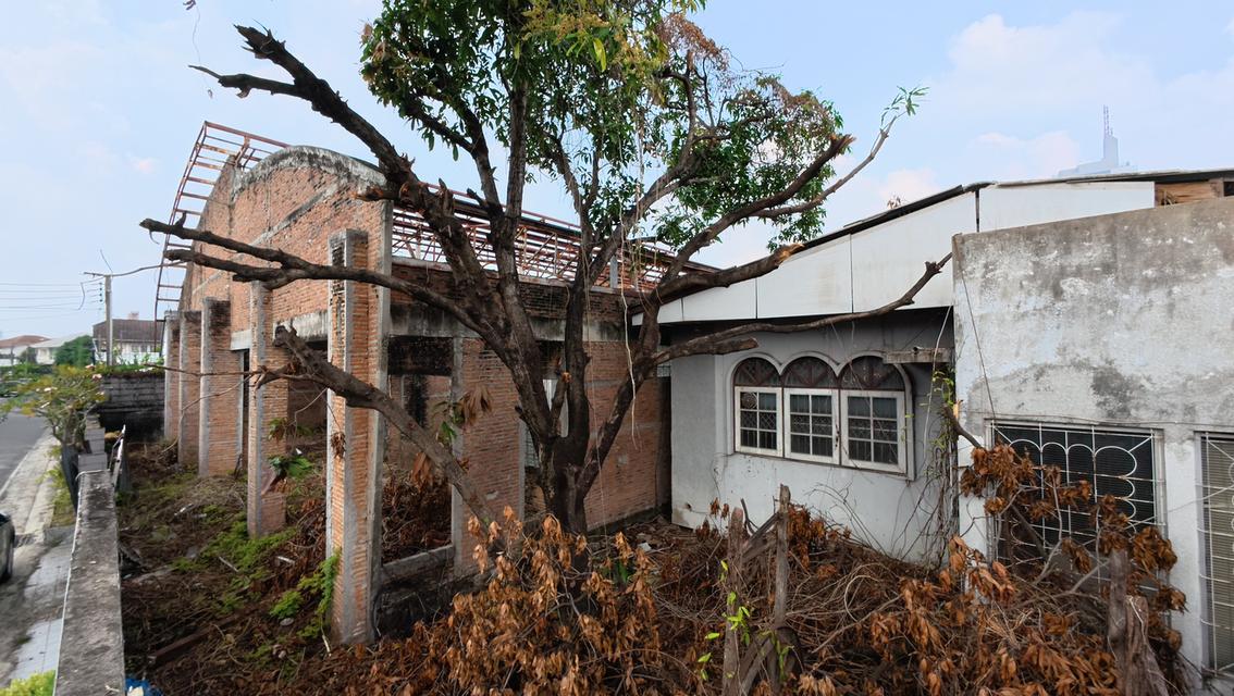 ที่ดินพร้อมสิ่งปลูกสร้าง ซอยสี่ไชยทอง 18 ถนนแจ้งวัฒนะ ต.บางตลาด อ.ปากเกร็ด จ.นนทบุรี 5