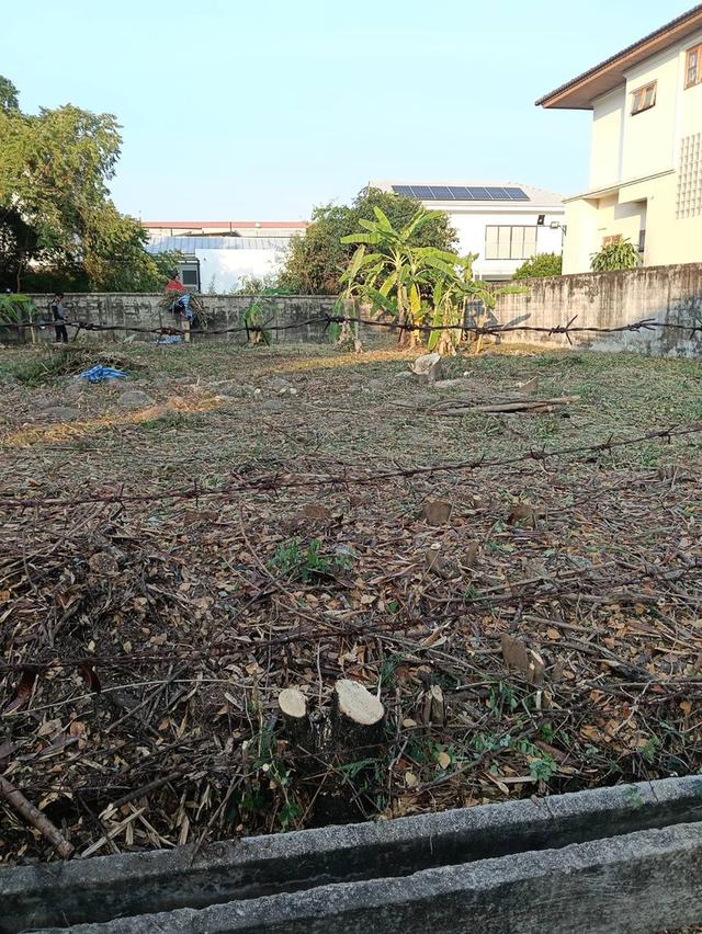 ขายที่ดินเปล่า | หมู่บ้านธารารมณ์ สุขาภิบาล 3 2