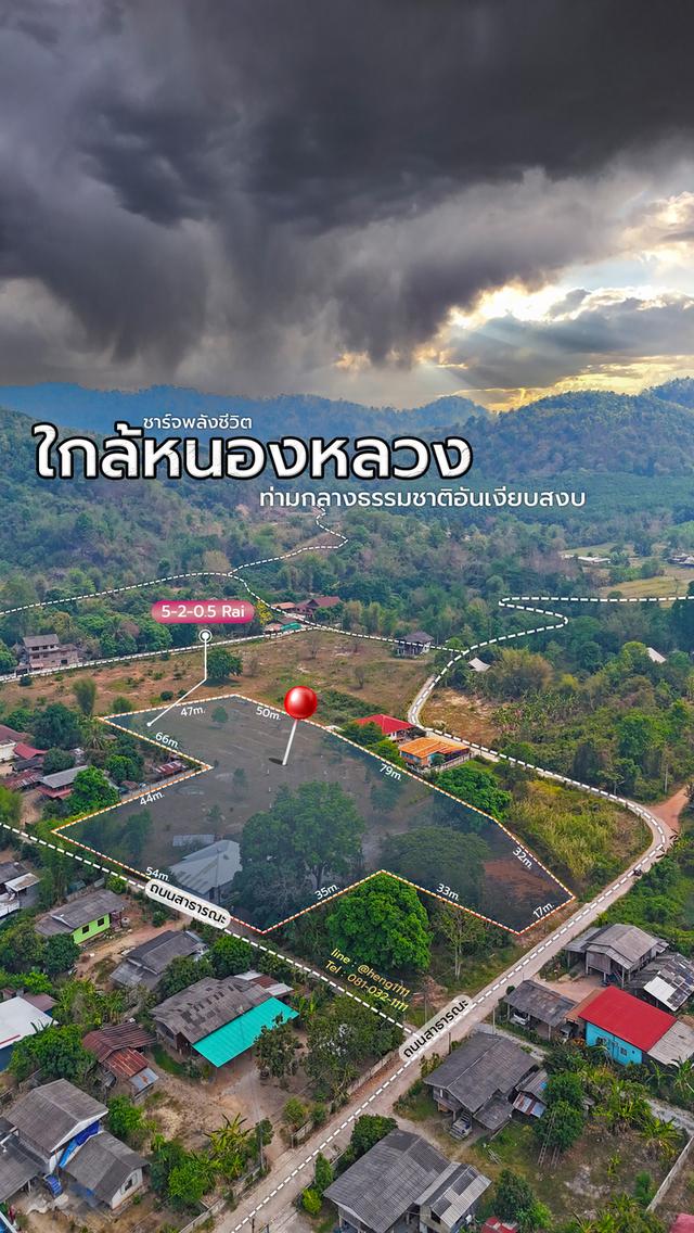 ขายด่วน ที่ดินพร้อมสิ่งปลูกสร้าง 5 ไร่เศษ วิวภูเขาพาโนรามา ติดถนน 1173 ต.เมืองชุม อ.เวียงชัย เชียงราย 13