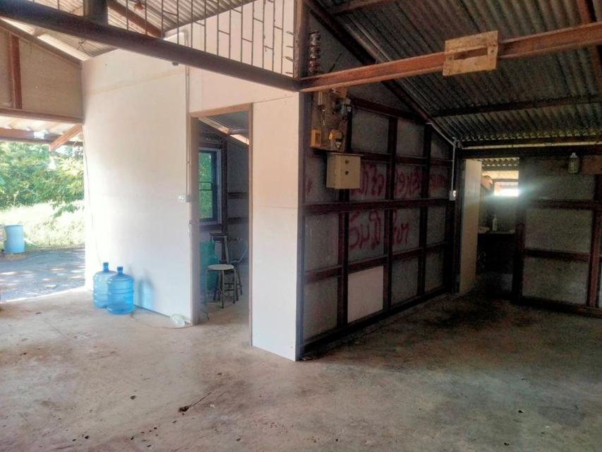 ให้เช่าพื้นที่เป็นอาคารเปิดโล่ง 250 ตร.ม. พร้อมบ้านเดี่ยว 1 หลัง อยู่ท่ามกลางสวนไร่นา บรรยากาศดีมาก ตำบลดอนพุด สระบุรี 4