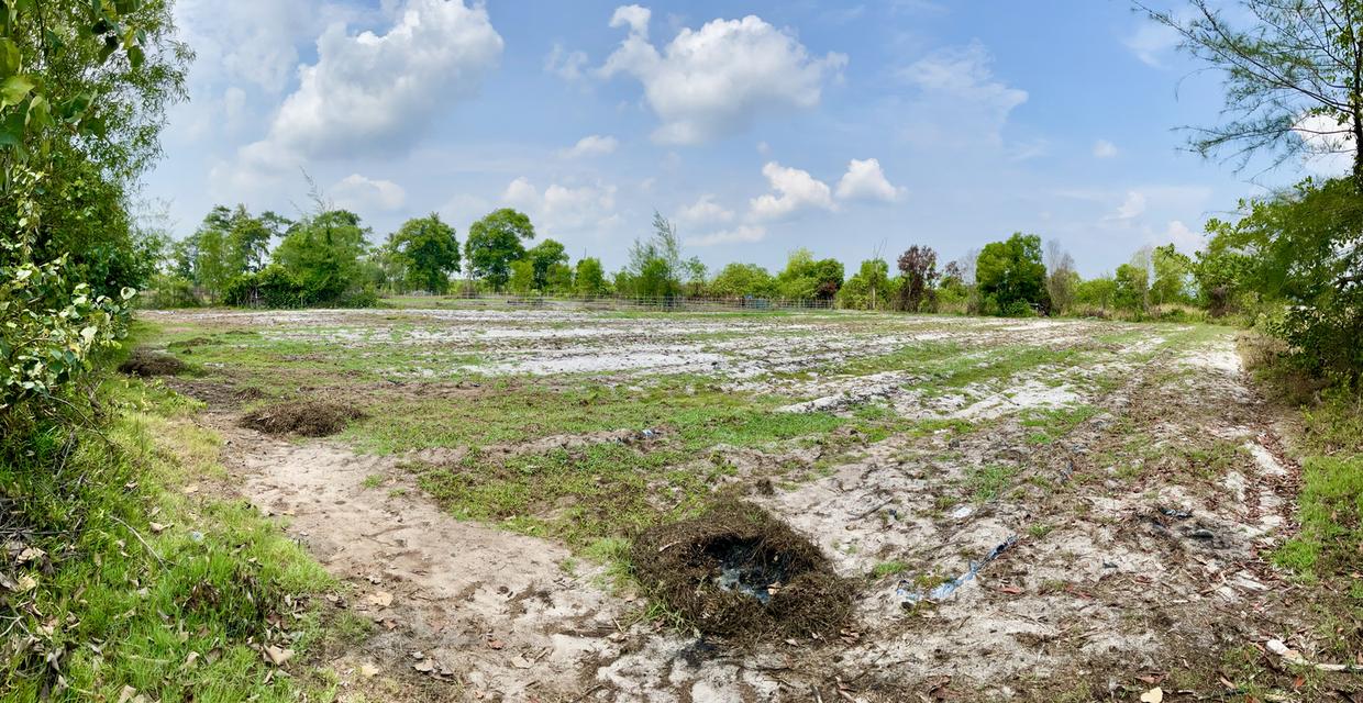 ที่ดิน 12 ไร่ 3 งาน ใกล้หาดบ่ออิฐ ติดถนนสายหลัก สายรอง 4