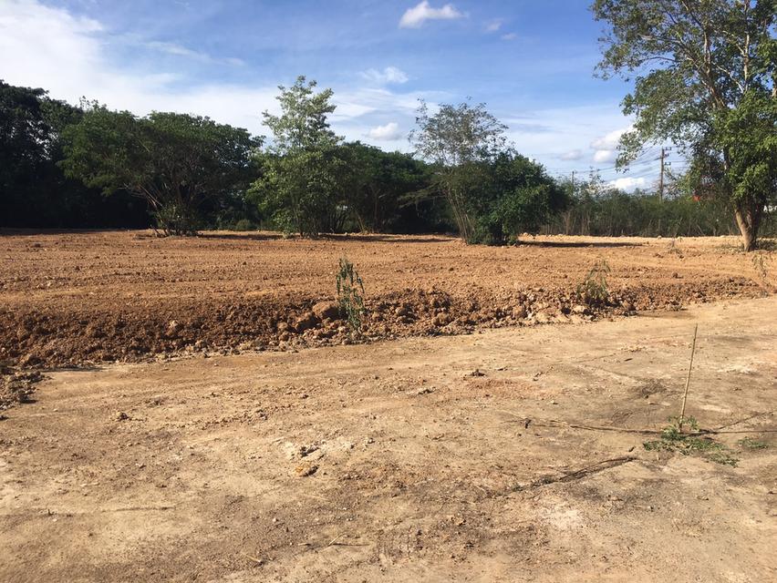 ขายที่ดินเพื่อธุรกิจ ถมแล้ว 3 ไร่ ครึ่ง ถนนสายเดียวขึ้นเหนือ ติดพหลโยธิน กรุงเทพ-ลำปาง-เชียงใหม่-เชียงราย (เจ้าของขายเอง