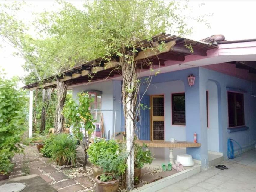 บ้านเดี่ยวพร้อมอยู่ให้เช่า ใกล้สุวรรณภูมิ ซอยกิ่งแก้ว 41 เฟอร์ครบ