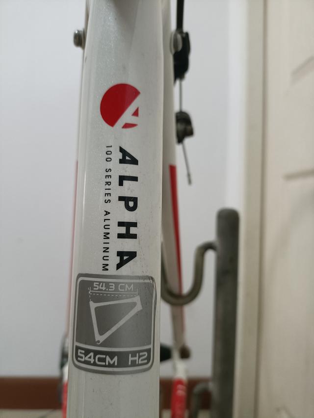 Liv,trek,merida ราคาเหมา3คัน