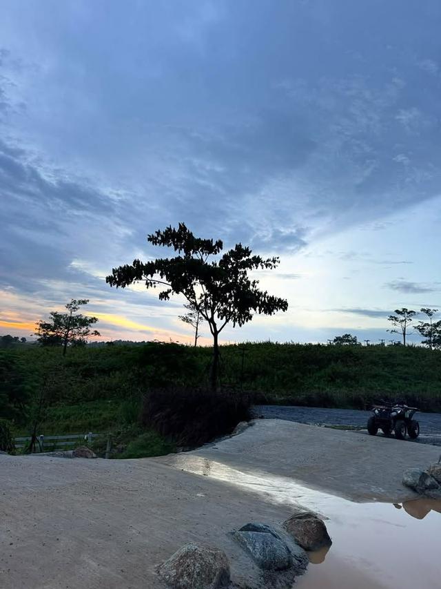 D Kanda Glamping วังน้ำเขียว  5 ไร่ 14 ล้าน 5