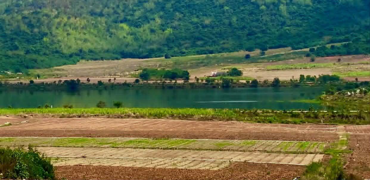 ขายที่ดินแถวจังหวัดกาญจบุรี ไร่ล่ะ 230000 7