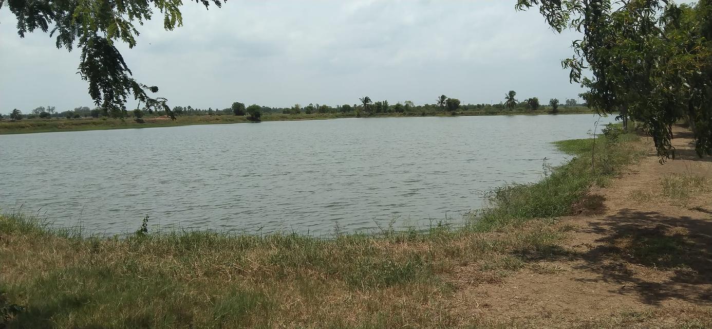 ขายที่ดินโฉนดครุฑแดง 171 ไร่ – พนมสารคาม ฉะเชิงเทรา 4