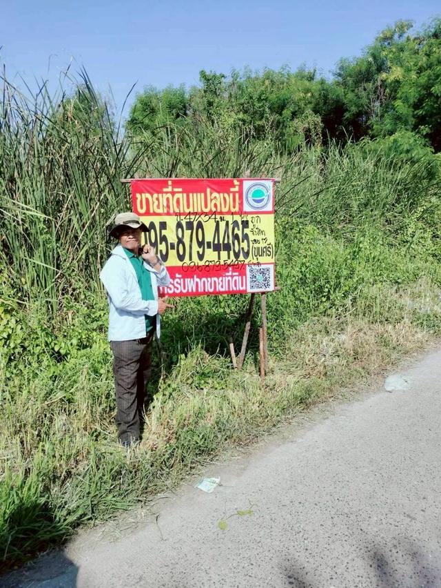 Vายด่วนnที่ดินรังสิต 1 ไร่ ติดถนนคอนกรีตสาธารณะ ซอย รังสิต-นครนายก 17 อ.ธัญบุรี จ.ปทุมธานี
