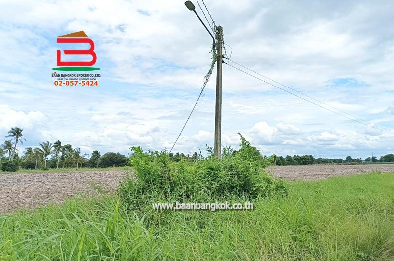 ที่ดินเปล่า ตำบลท่าบุญมี (สี่แยกเกาะโพธิ์) เนื้อที่ 71-0-22 ไร่ (ใกล้อ่างเก็บน้ำคลองหลวงรัชชโลทร) ตำบลท่าบุญมี อำเภอเกาะจันทร์ จังหวัดชลบุรี 4