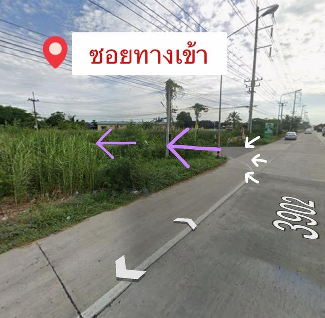 ที่ดิน จ.ปทุมธานี อ.สามโคก ต.คลองควาย 3