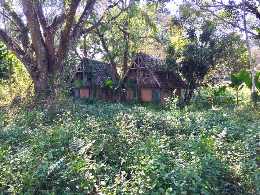 ที่ดินโฉนด สวย หายาก ลำธารโอบล้อมโดยรอบด้านหน้าติดถนนซอย วิวภูเขา  6