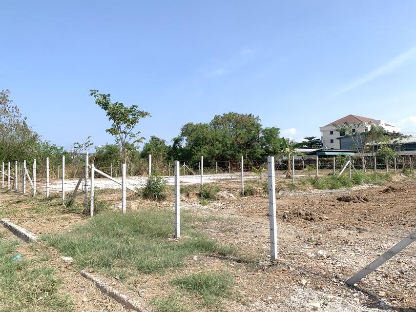 ขายที่ดินเมืองใหม่ พระยาสัจจา ในเมืองชลบุรี เนื้อที่ 200ตรว. 20x40m หลังร้านจิ๊บซีฟู้ด หลังร้านอาหารโอชิเน ตำบลเสม็ด 3
