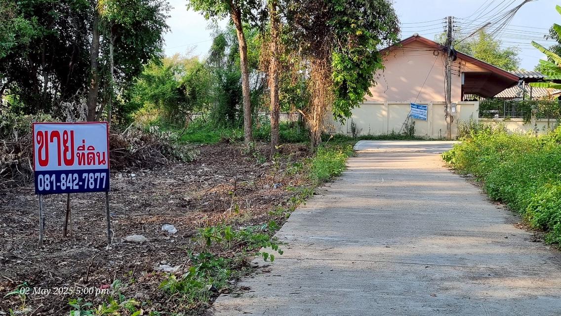 ขายที่ดินใกล้ราชภัฎลำปาง 129 ตรว.