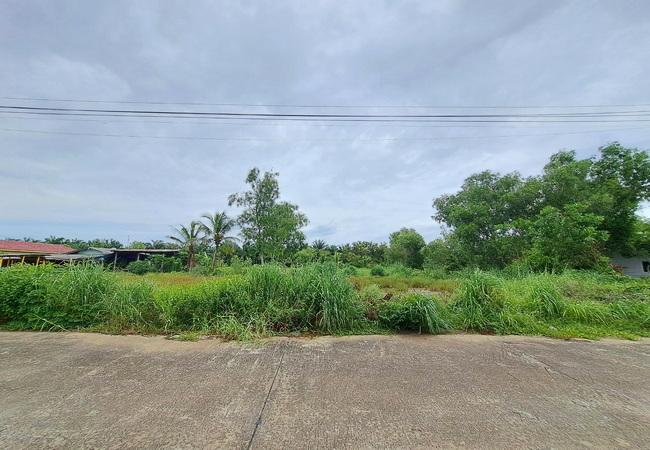 ขายที่ดิน ธัญบุรี คลอง 13 หมู่บ้านสมหวังการ์เด้น เนื้อที่ 75.70 ตร.ว. ถนนคอนกรีต  4