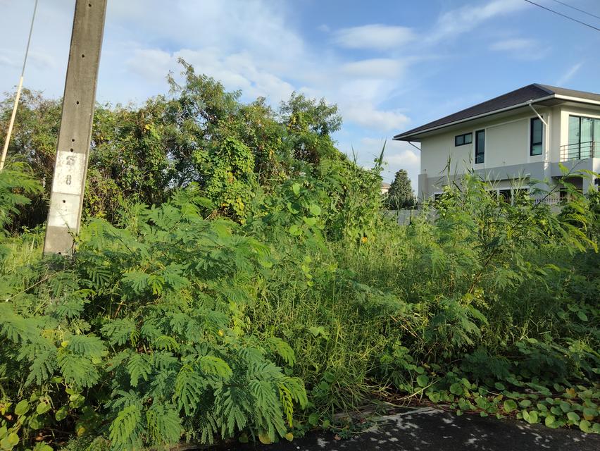 ขายที่ดิน103 ตรว. ซ.ทวีวัฒนา-กาญจนาภิเษก 6/1 (ซอยสิริฉัตร) ถ.พุทธมณฑลสาย2 กทม. 44,000บาท/ตรว. 6