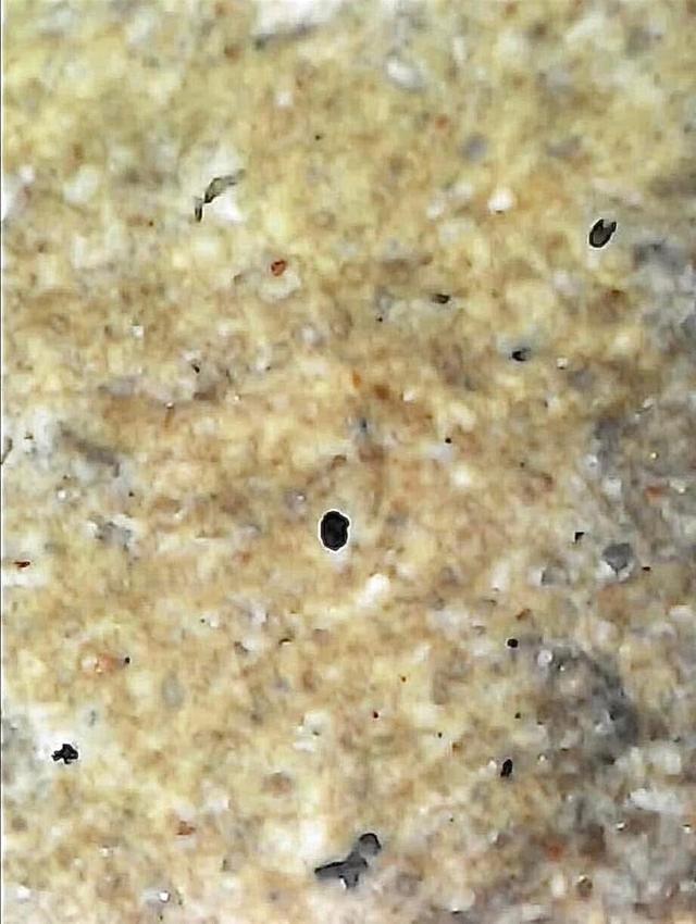 พระสมเด็จวัดระฆังพิมพ์ใหญ่เกศทะลุซุ้ม 16