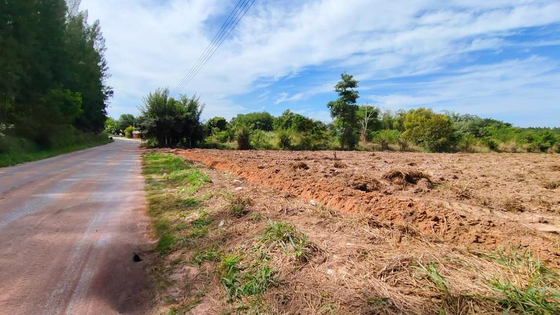 ขายที่ดินบ่อวินซอยตลาดลุงอ้วนเนื้อที่ 5 ไร่ หลังนิคมอีสเทอร์ซีบอร์ด ใกล้ถนนเส้น331-8กม. อ.ศรีราชา ชลบุรี 2