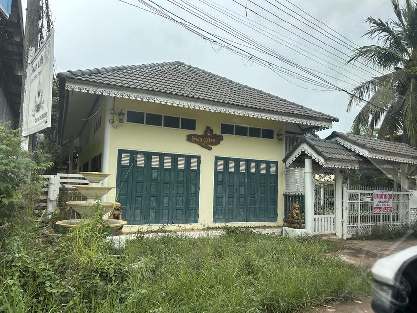 ขายบ้านและที่ดินพร้อมสิ่งปลูกสร้าง 2