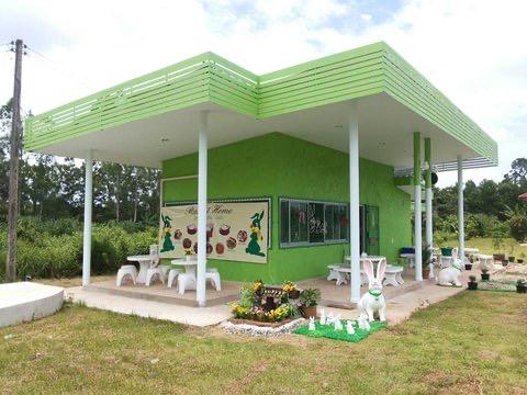 ขายที่ดินถมแล้วพร้อมบ้านและร้านอาหาร ริมถนนใหญ่ 4 เลน ใกล้ทะเลและสนามบิน 4