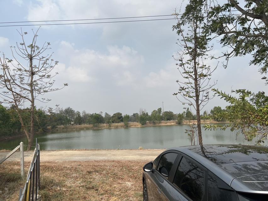 ขายที่ดิน 394 ตรว. จอมบึง ราชบุรี 1