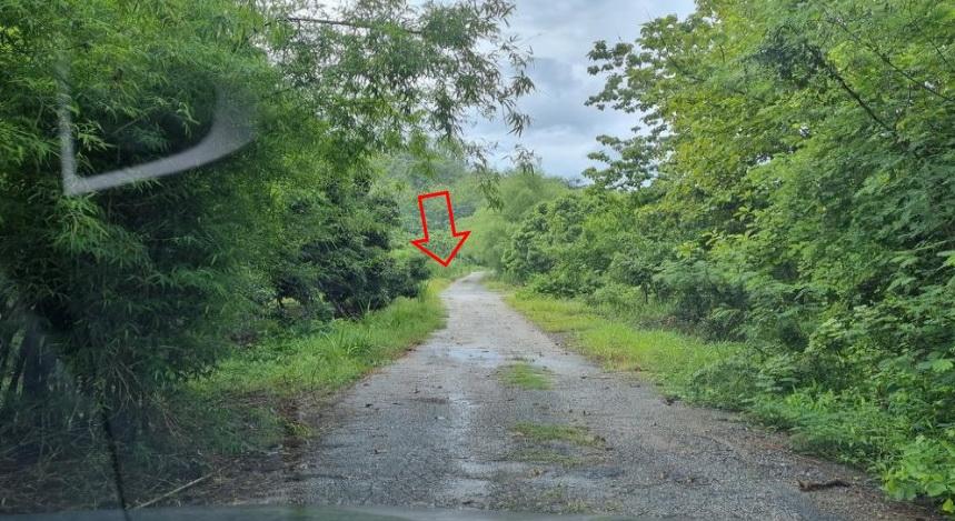 ประกาศขายที่ดินแปลงใหญ่ ติดถนนใหญ่ จันทบุรี – สระแก้ว (ทล.317) 6