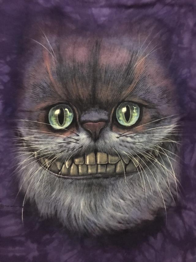 เสื้อยืด The Mountain รูปที่ 2