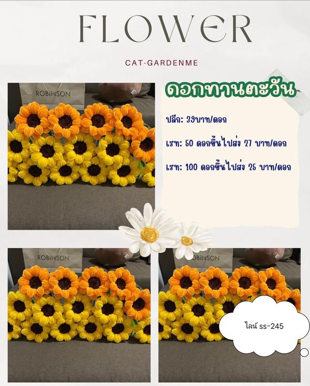 ดอกไม้กำมะหยี่ ปลีก-ส่ง