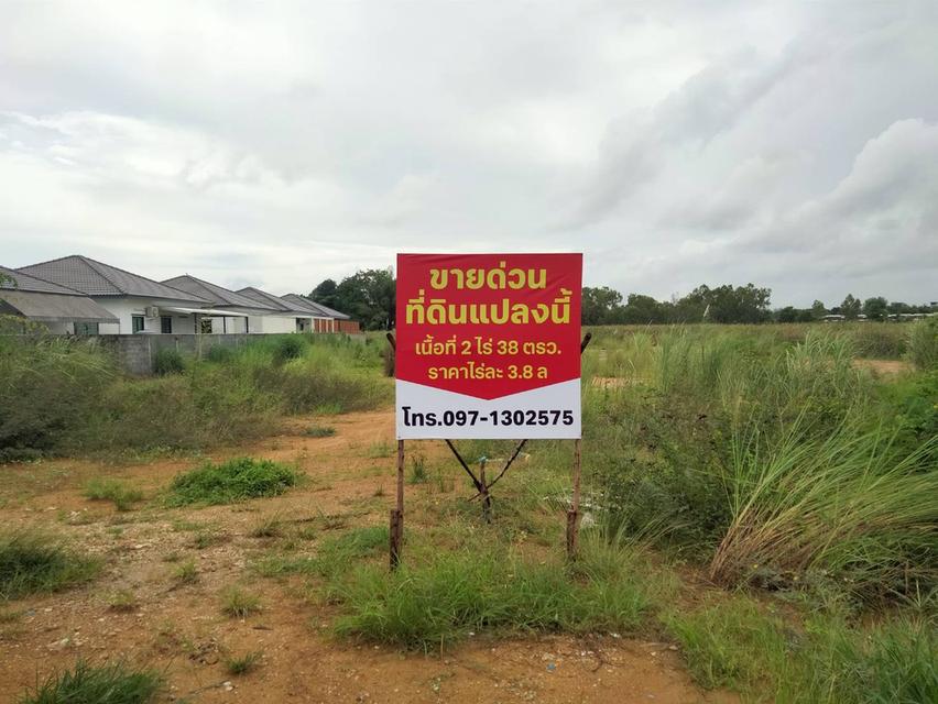 ขายที่ดิน 2 ไร่  1