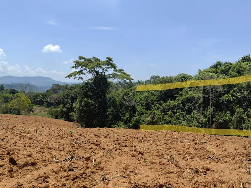 ที่ดินเปล่า 6 ไร่ 3 งาน 4.5 ล้าน บ.สวนห้อม อ.วังน้ำเขียว 10